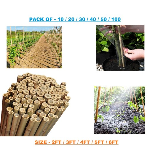 Bamboo garden canes - bamboo, duty