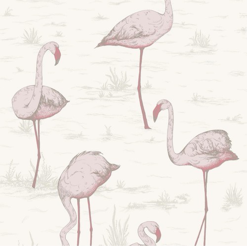 Cole son flamingo s - son, flamingo’s