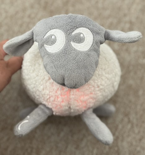 Ewan the dream - the, sheep