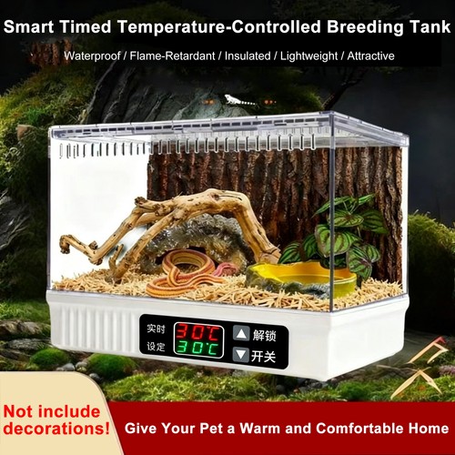 Reptile enclosure terrarium - reptile,