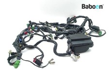 Wiring Harness (Main) Honda GL