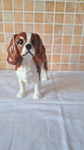 Beswick dog cavalier king - beswick,