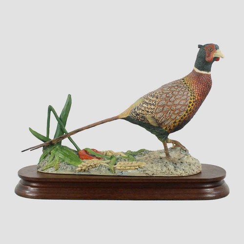 Pheasant border fine arts - pheasant,
