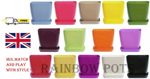 Plastic plant pots flower - plant, 16