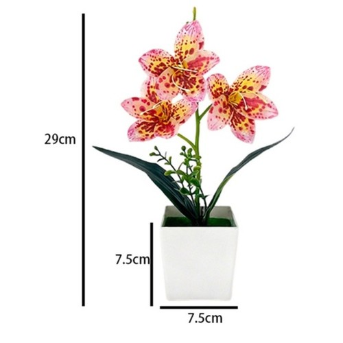 White light pink dark - white,
