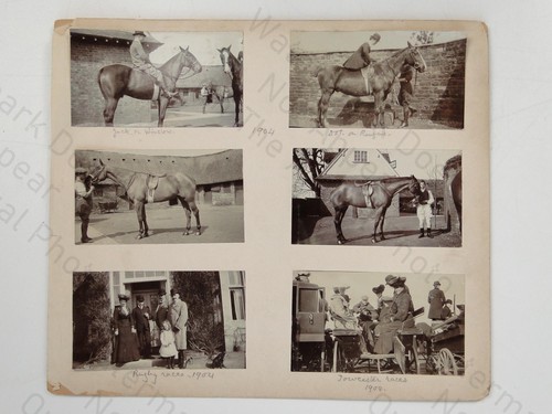 Equestrian horse riding rugby - equestrian,