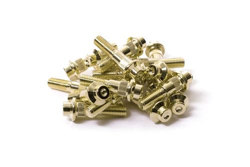 Gold bbs 2pc - rt, rim