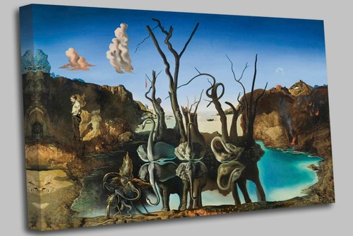 Salvador dali swans - salvador,