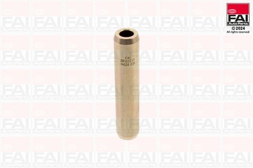 Valve guide fits bmw citroen - bmw,