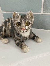 Winstanley Size 2 Tabby Cat