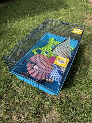 Savic hamster sky - hamster,