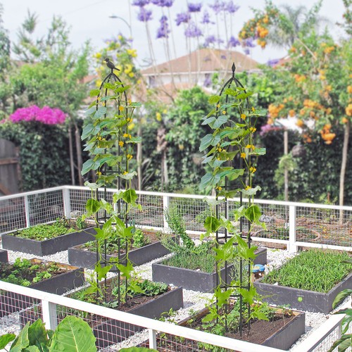 Tall metal obelisk trellis - obelisk,