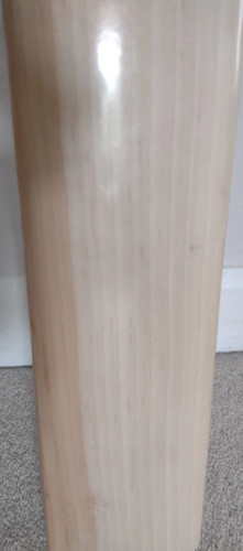 Newbery zeus player - zeus, cricket
