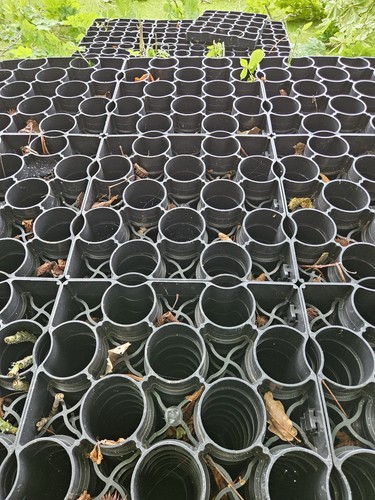 Black plastic ground - black,
