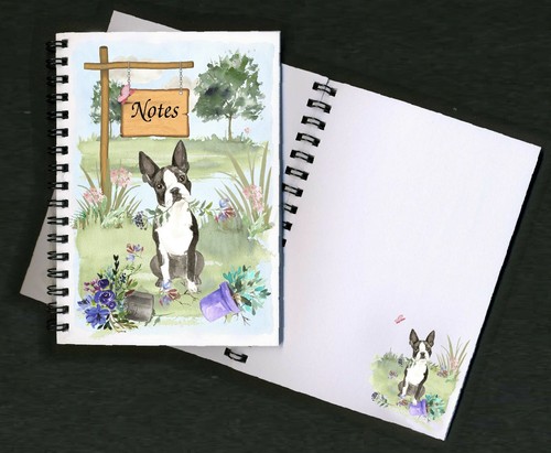 Boston terrier dog - boston,