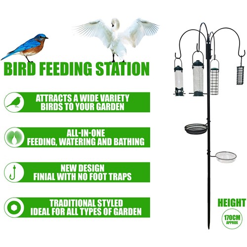 Wild bird garden - bird,