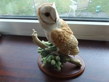 Fantastic Quality Border Fine