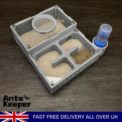 Ant farm flat independent - farm,
