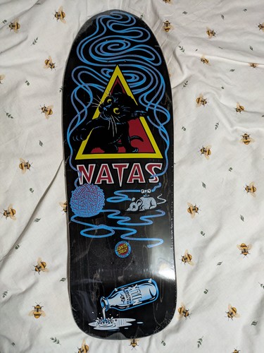 Santa cruz natas kitten - cruz,