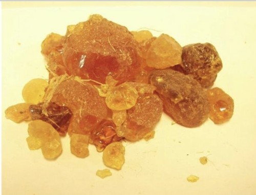 Sudan gum arabic acacia - sudan,