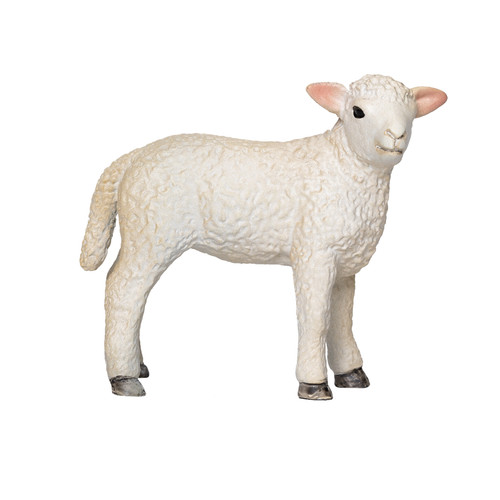 Mojo romney sheep lamb - romney,