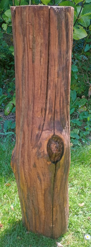 Tree stump table hardwood log