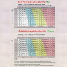 ⊹Body Fat Caliper Tester