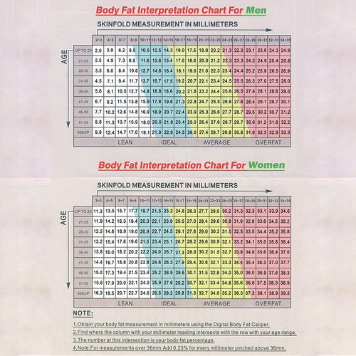 Body fat caliper tester - fat,