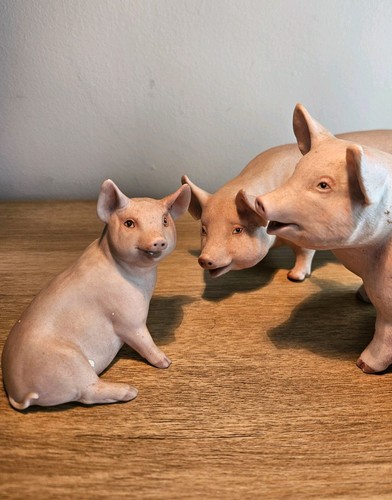 John aynsley signed pig - aynsley,