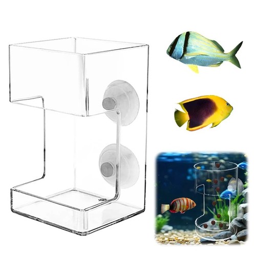 Aquarium feeding fish tank - aquarium,