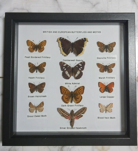 Framed real british - real, &