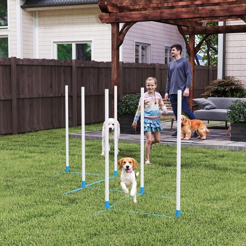 Dog weave pole - weave, set