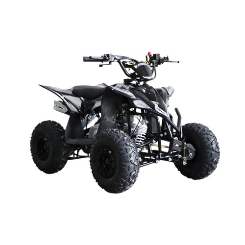 Quad bike petrol 110cc - bike,
