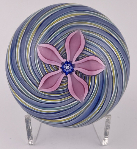 Peter mcdougall pink flower - mcdougall,