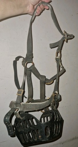 Greenguard muzzle headcollar - greenguard, &