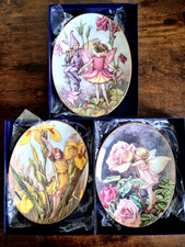 Set 3 Royal Worcester Boxed Flower Fairy Fairies Oval Wall Plates 22 x 16cm