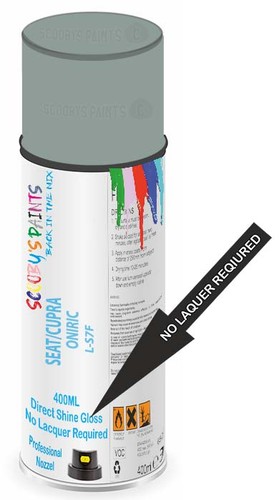 Paint for tesla motors - for,