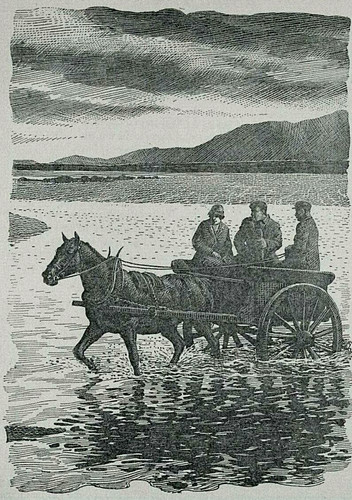 Tunnicliffe horse trap tarbert - horse,