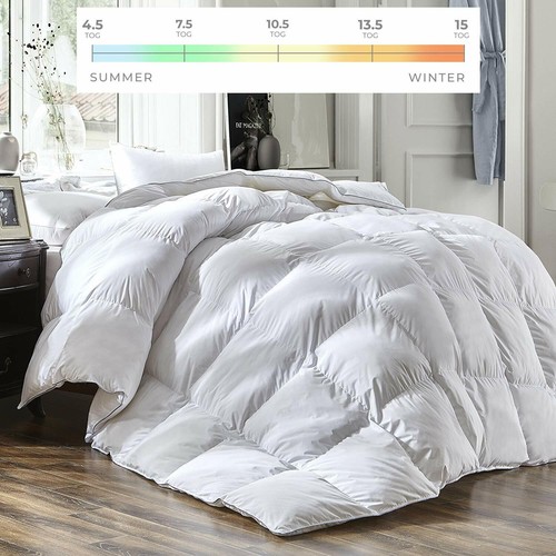 Goose feather and down - feather, duvet/