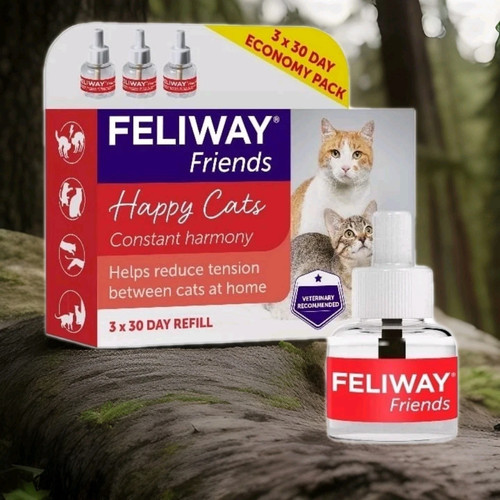 Feliway friends day - 30,