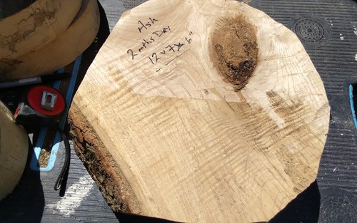 Large spalted ash - large, blank