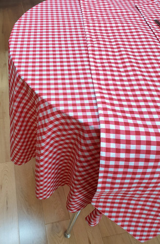 Gingham check red white - check,