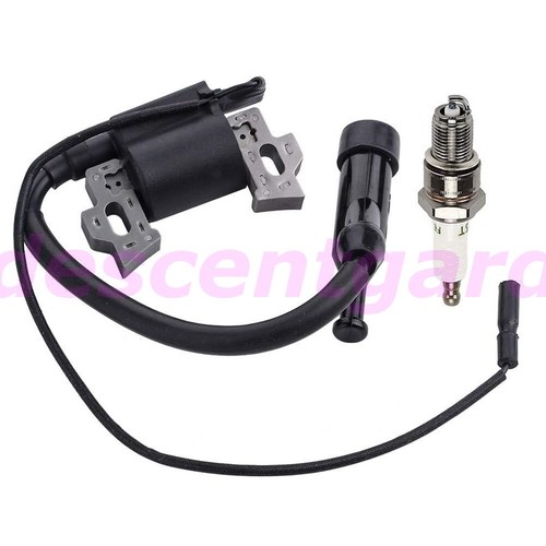 Ignition coil for baja - for,