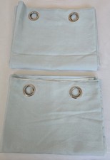 Pair duck egg - duck, blue