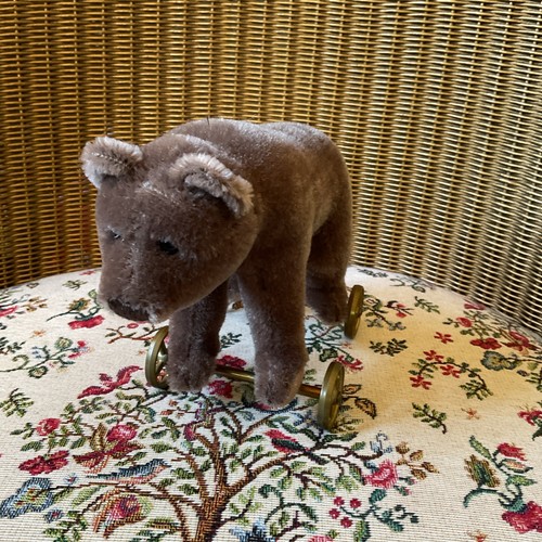 Steiff small bear - bear, on