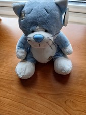 My Blue Nose Teddy Bear