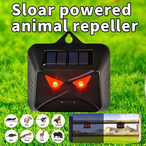Solar led flashing - flashing, dog