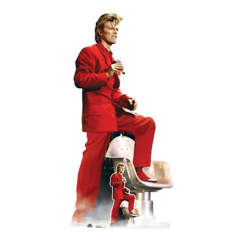 David bowie musician - david,