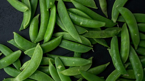 Sugar snap pea plug plants - pea,