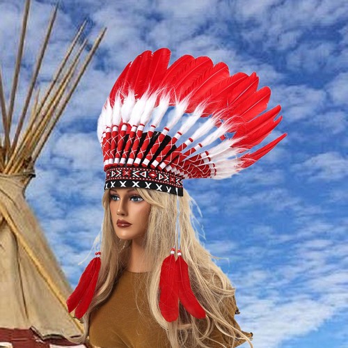 Feather headdress decorative - feather,
